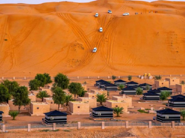 Arabian Oryx Camp